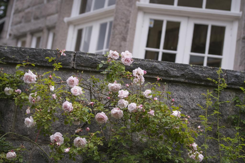 Lys-Na-Greyne Country House Aboyne Exterior foto